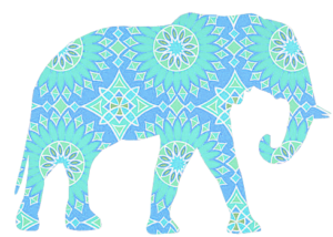 tumblr_nncuh9mb2S1utj603o1_500