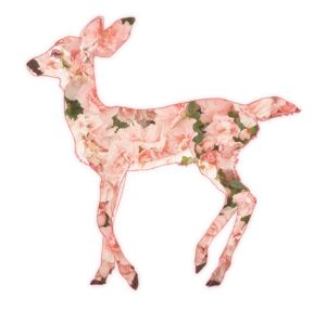 tumblr_nsqhuklOmu1tehh57o1_500